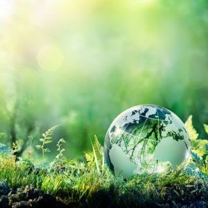 La Marca del Distributore guida il rilancio sostenibile in Italia e in Europa