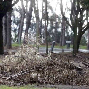 Crolli, rifiuti e degrado: la riapertura flop del parco Virgiliano