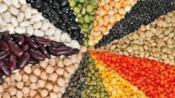 Fagioli, piselli e ceci: così con i legumi sfameremo il mondo