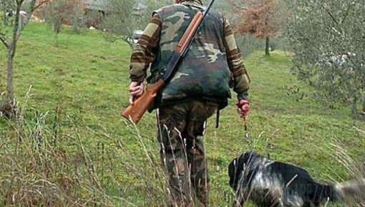Val Germanasca, esche avvelenate nei boschi: due cani da caccia intossicati, un altro morto