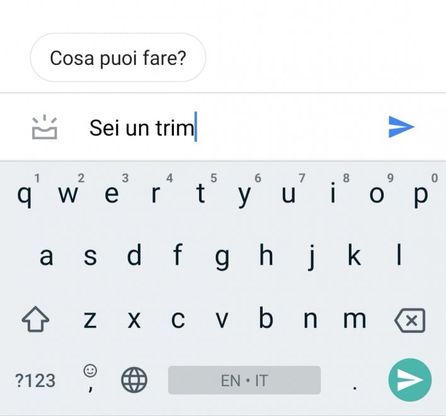 Insulto in barese all'assistente vocale di Google: la risposta è da ridere