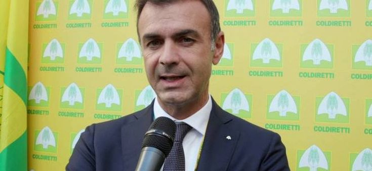 "Banda ultralarga nelle aziende per la transizione digitale dell’agroalimentare Made in Italy”