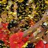Basket, Eurolega: Hackett e Cska Mosca sul tetto d'Europa, Efes ko