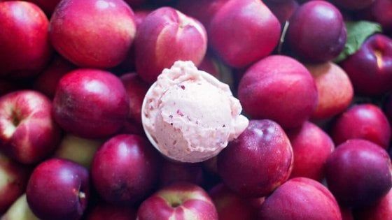 Il gelato? Produrlo in casa non è mai stato così facile (se sapete come fare)