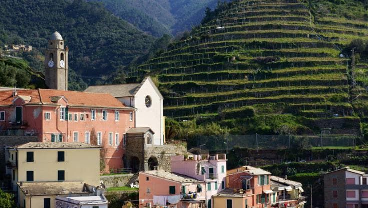 Vini di montagna: presidio del paesaggio ma anche strumento di rilancio sociale