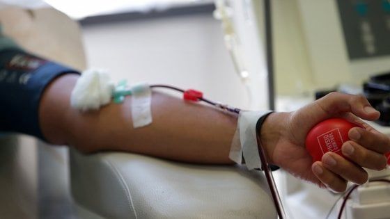 Bologna, appello dell'Avis: "Calo continuo dei donatori, ma sangue serve sempre"