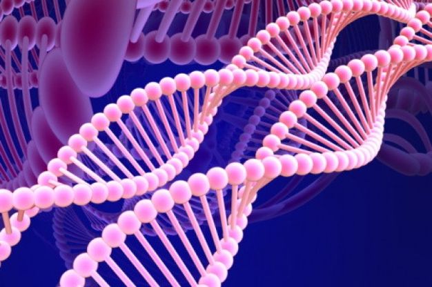 Network di ricerca sulla Duchenne