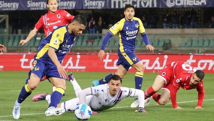 Verona-Sampdoria 1-1: Caprari risponde a Caputo