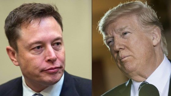 Usa, Silicon Valley contro Trump: Cook e Musk paladini del clima