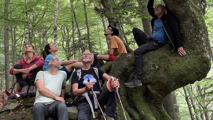 Viaggio nel cuore della Val Grande in difesa del pianeta