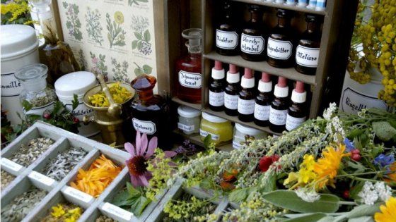 Omeopatia, la Gran Bretagna fa marcia indietro: "Cure non più a carico dello stato"