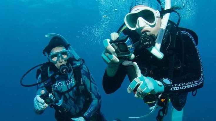 Coralli e mantidi aliene, le scoperte per caso dei cittadini scienziati