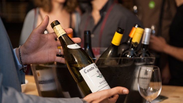 Chef, degustazioni e seminari: parte la nuova edizione di Vinòforum