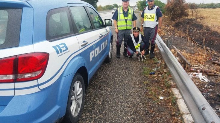 Taranto, la Polstrada adotta la cucciola legata al guardrail
