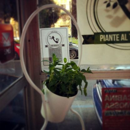 Piante al telefono: se le cabine telefoniche diventano serre<br />&nbsp;