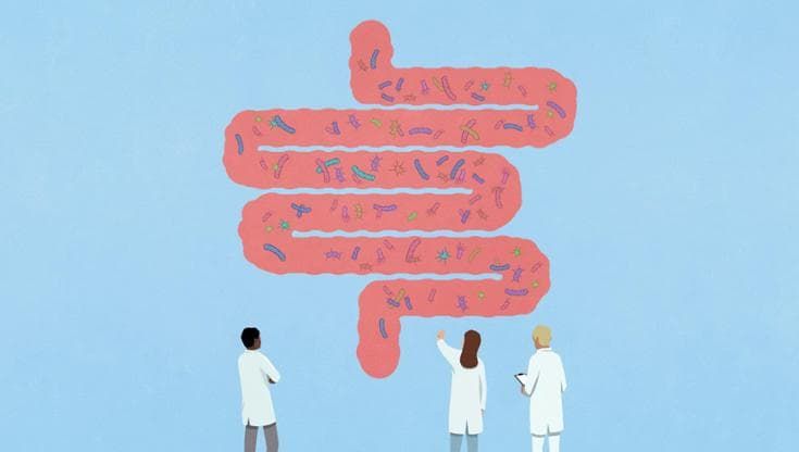 Sclerosi multipla: l’infiammazione viaggia dall’intestino al cervello?