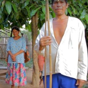 Piraña a pranzo e 13 chilometri al giorno il segreto degli Tsimane per il cuore perfetto 