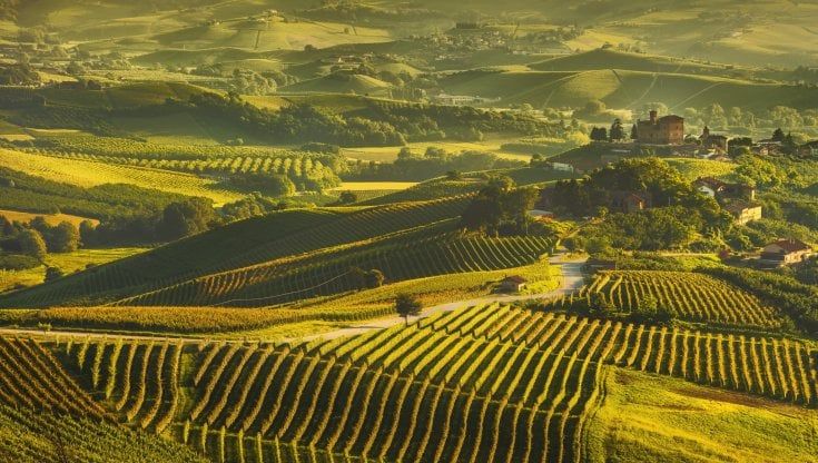L'annata 2018 di Barolo Pio e Barbaresco Pio: le etichette-icona della famiglia Pio Cesare