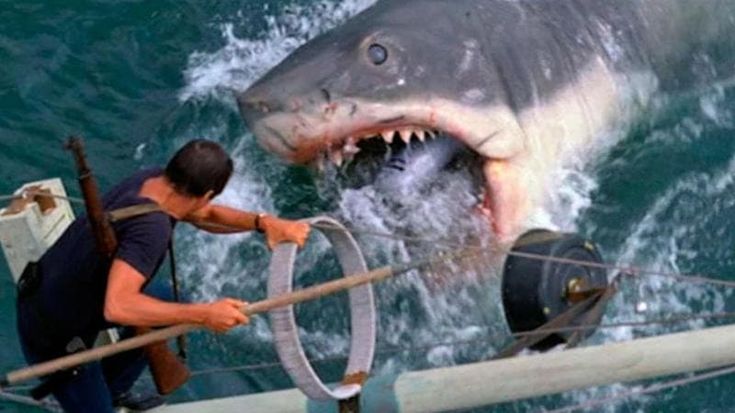 James Cameron contro Steven Spielberg: “Ha denigrato gli squali con il suo film”