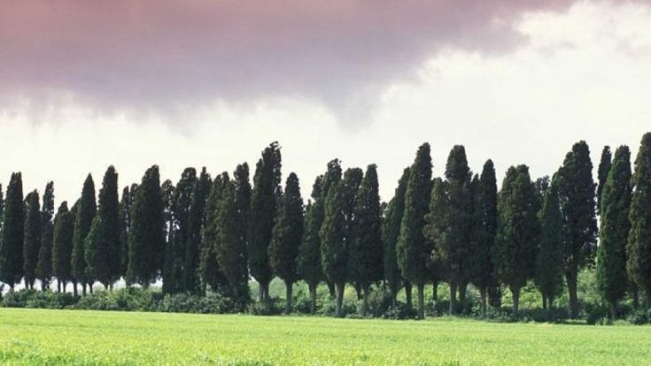 Le parole che fanno male e quelle che scaldano il cuore 