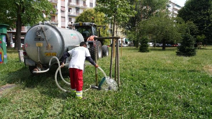 Cambiamenti climatici, a Milano il piano per eliminare cemento e asfalto e creare nuovo verde