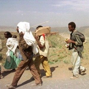 "A piedi nudi sulla sabbia del deserto presi a bastonate, uccisi o costretti a guardare stupri e violenze"