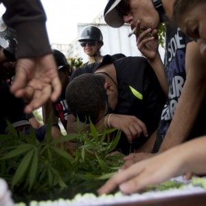 "Reclutiamo fumatori di marijuana".<br />E l'ospedale viene preso d'assalto