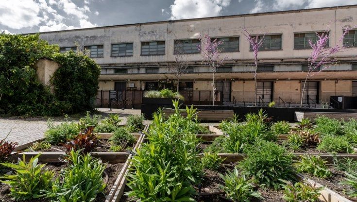 Firenze, alla Manifattura Tabacchi la mostra “Botanica Temporanea. L’arte dei giardini invisibili”