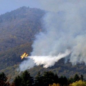 Varese, rogo al Campo dei fiori: bruciati due ettari di bosco, l'ipotesi dell'incendio doloso