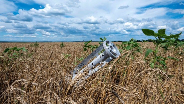 Grano, prezzi di nuovo ai valori pre-guerra dopo l'accordo Russia-Ucraina 