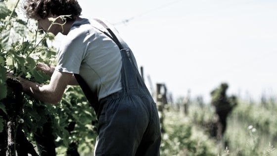Come ti divento un mito: se il Prosecco ha metodo