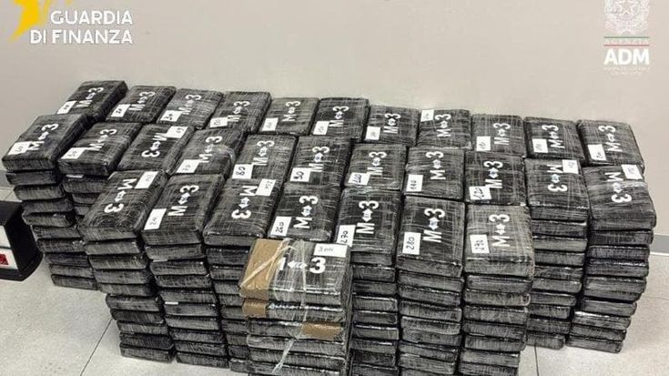 Tonno, frutta, mattoni: tutti i nascondigli dei narcos per la coca
