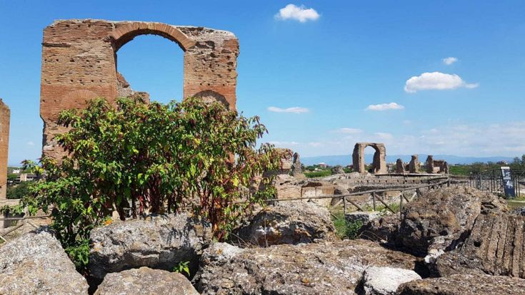  Roma, l’agonia di un Parco.  Sull’Appia Antica crescono solo erbacce
