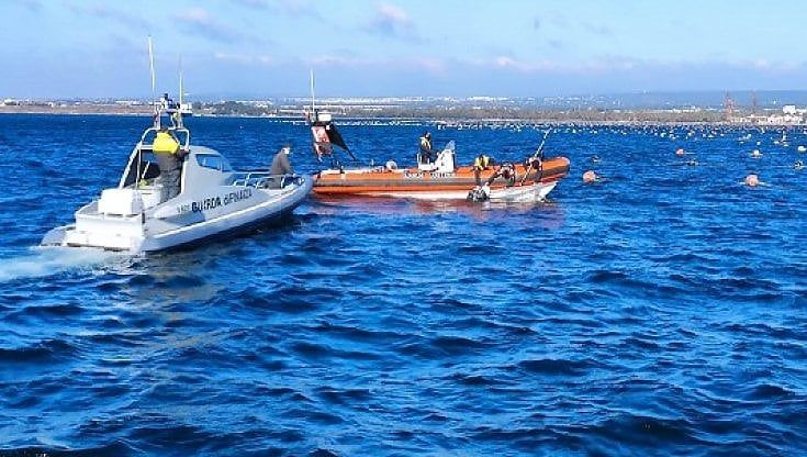 Taranto, cozze senza controlli: sequestrati impianti abusivi su un'area di oltre un milione di metri quadri