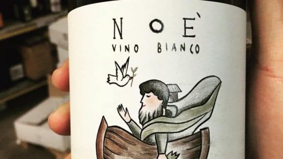 Tra terremoti, vigne e storie contadine: ecco il Pecorino, gigante ritrovato