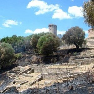 Velia chiude il giovedì, parte la protesta online