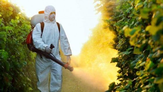 Greenpeace: quasi 500mila europei hanno firmato contro il glifosato