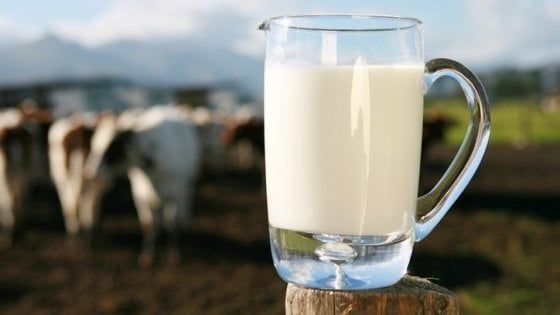 Latte: il boom dei consumi in Asia traina l'export italiano