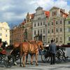 Praga magica