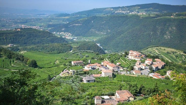 Il vino italiano traina la ripresa 