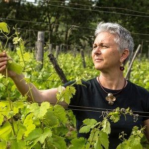 Napoli, storie di vini e vigne da "Cap'alice"