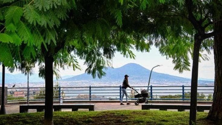 Il futuro ha radici lente