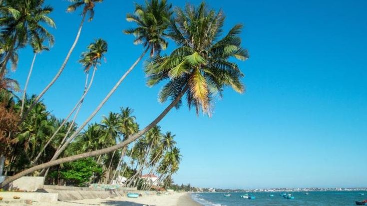 Booking.com, dal Vietnam a Barranquilla passando per IA e benessere, come e dove viaggeremo nel 2026