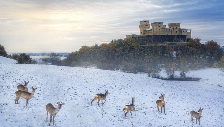 Torrechiara, lo scenario è fiabesco 