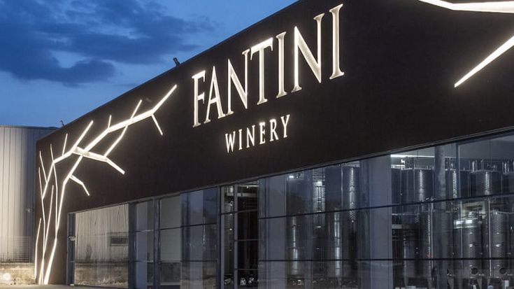 Fantini Wines chiude il 2024 con Ebitda al 27,5% e guarda al mercato africano