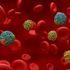 Colesterolo, 10 cose da sapere per prevenire le malattie cardiovascolari