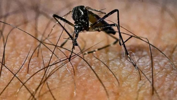 Caldo, +20% rischio infezioni per ogni grado in più