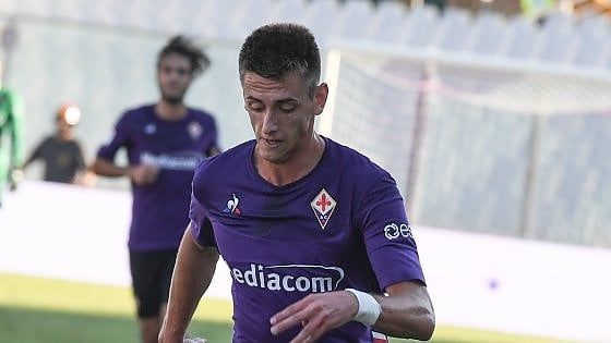 Serbia: "Hanno tentato di rapire Terzic", ma la Fiorentina: "Gli hanno 'solo' rubato l'auto"