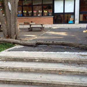 Roma, scuola elementare chiusa per topi a Monteverde