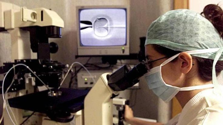 San Raffaele, riapre il laboratorio per la fecondazione assistita dopo lo scambio di provette